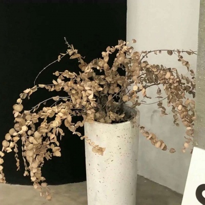 Furry兽圈创作趋势兽圈群